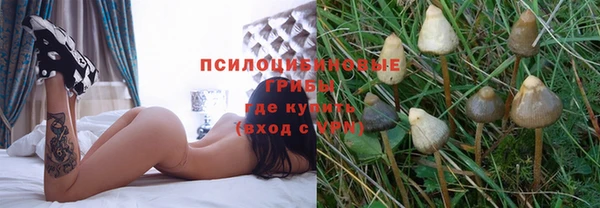 спайс Верея