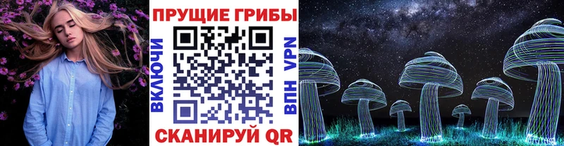 Купить закладки  Новотроицк  Галлюциногенные грибы Magic Shrooms 